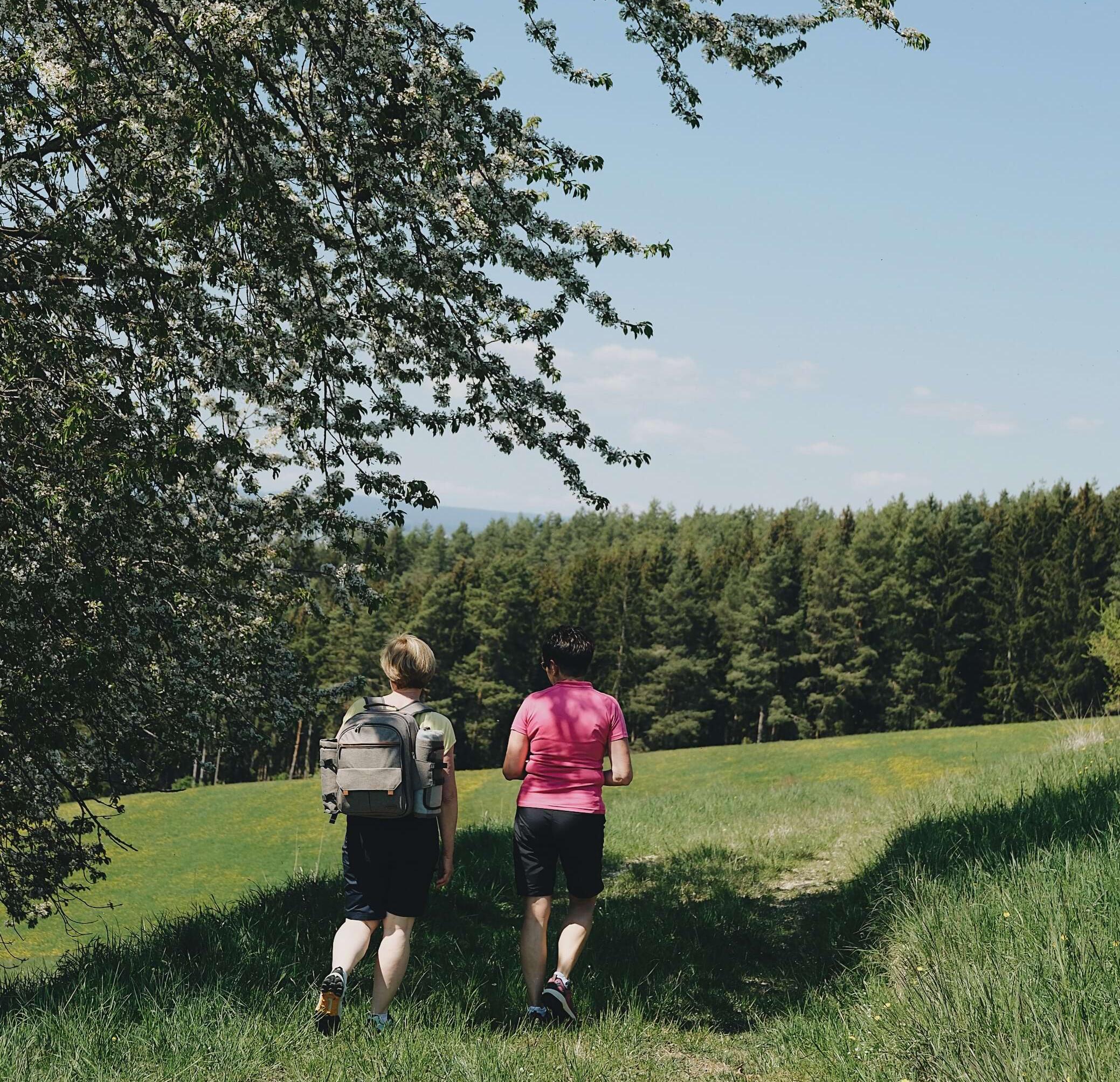 Oster Angebot 03.-06.04.2026